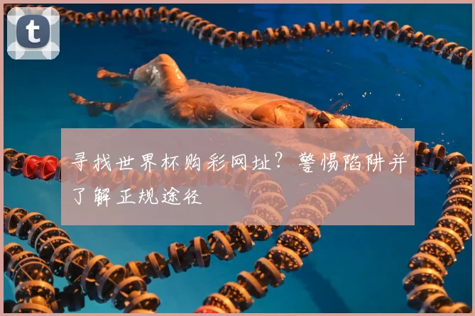 寻找世界杯购彩网址？警惕陷阱并了解正规途径
