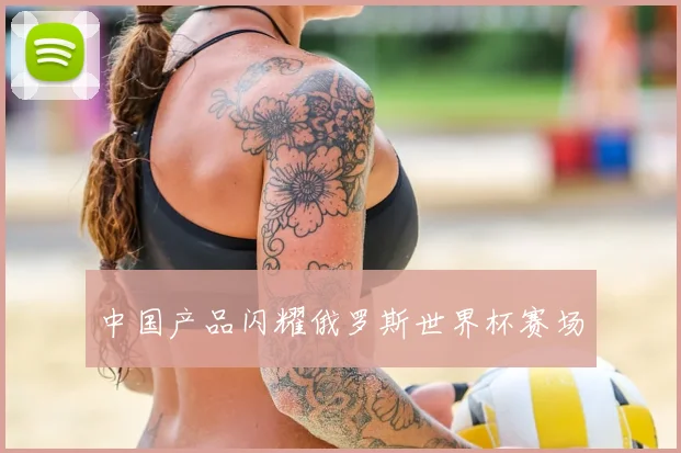 中国产品闪耀俄罗斯世界杯赛场