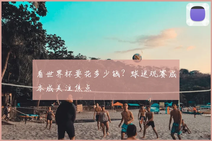 看世界杯要花多少钱？球迷观赛成本成关注焦点