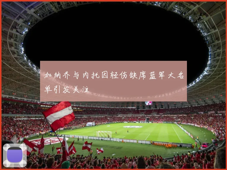 加纳乔与内托因轻伤缺席蓝军大名单引发关注