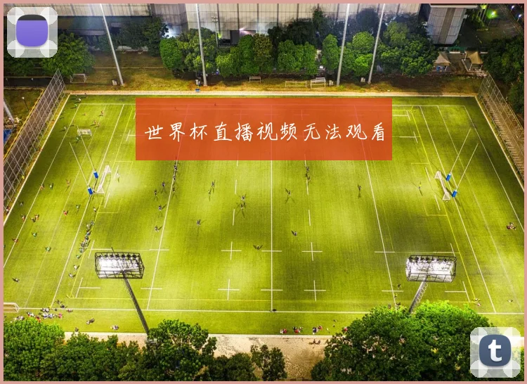 世界杯直播视频无法观看