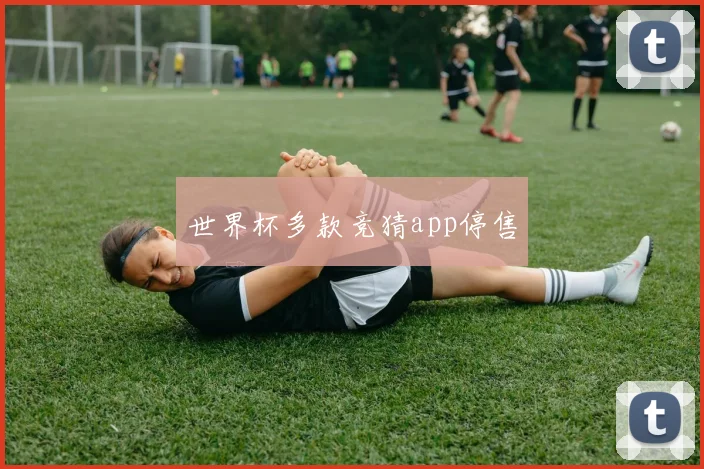 世界杯多款竞猜app停售