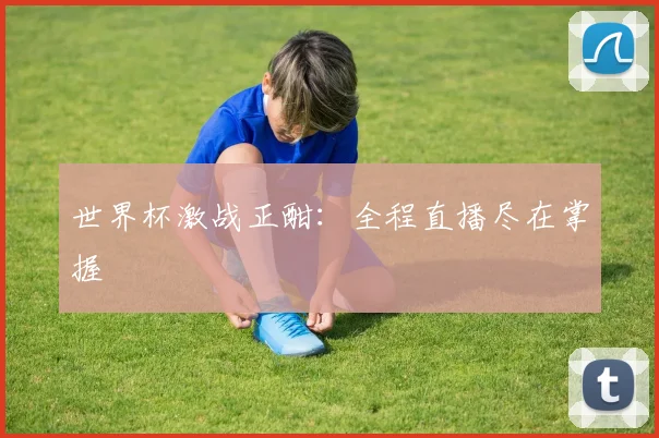 世界杯激战正酣：全程直播尽在掌握